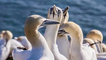 都灵客场逆转，摆脱降级魔咒