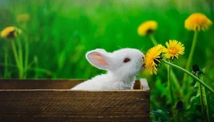 赫塔菲击败巴伦西亚，结束两连败